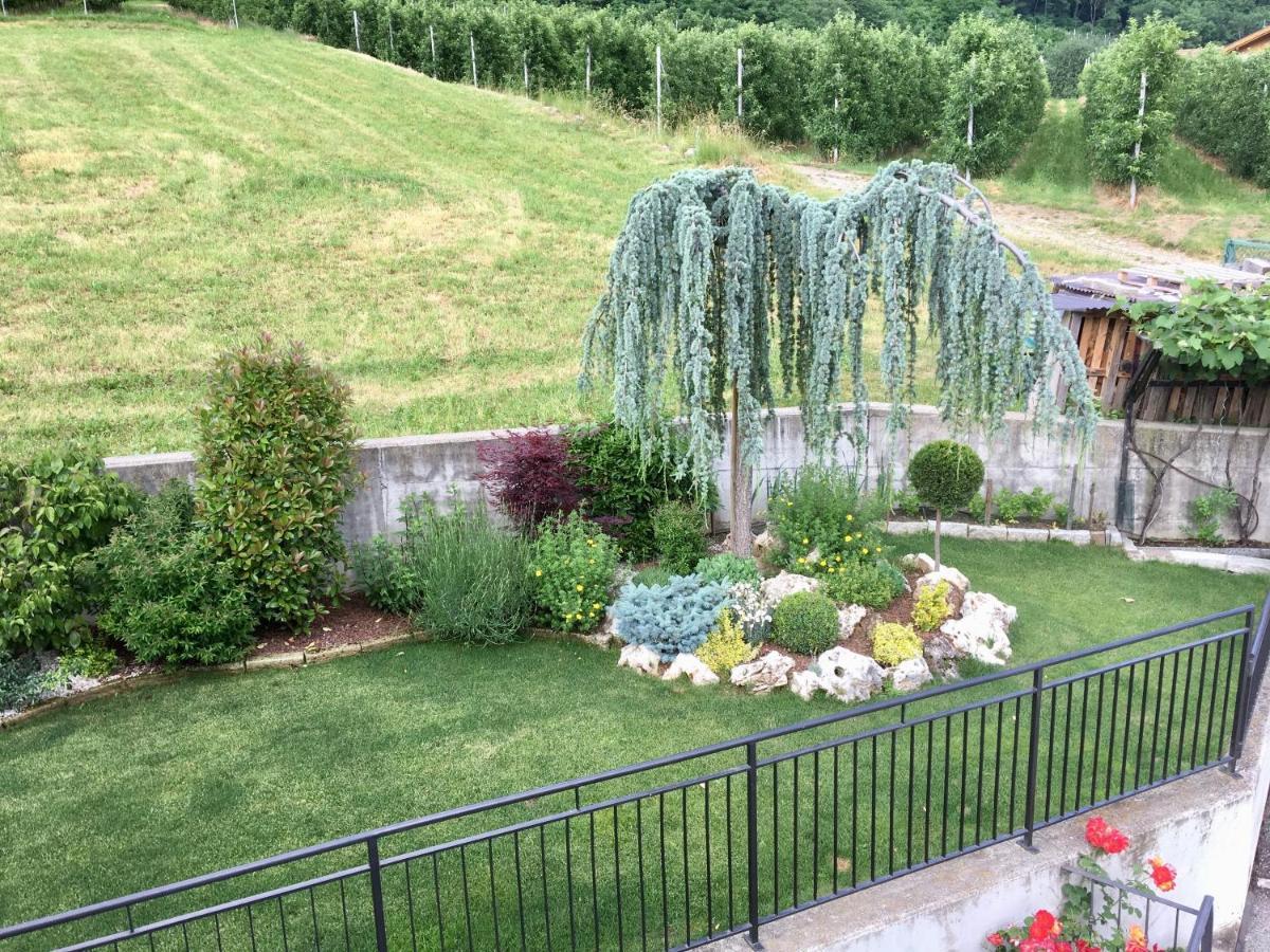 Апартаменты Mansarda Con Giardino Val Di Sole Trentino Terzolas Экстерьер фото